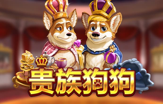 365国际速发平台登陆